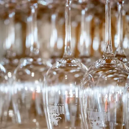 Burghotel Alpengluehn 3*