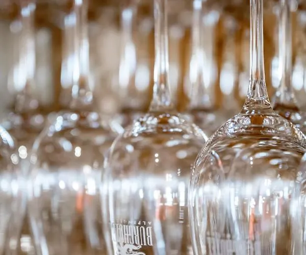 Burghotel Alpengluehn 3*