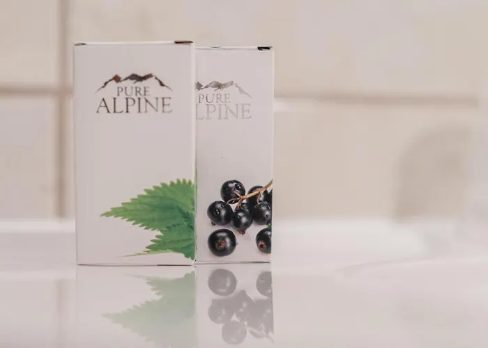 Burghotel Alpengluehn